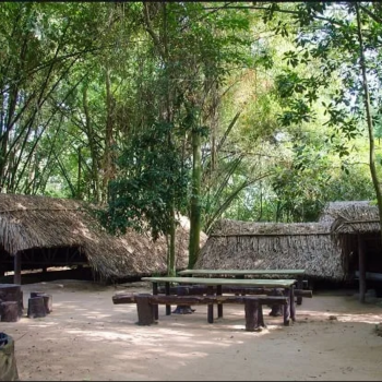 Ho Chi Minh, city tour - Túneles de Cu Chi
