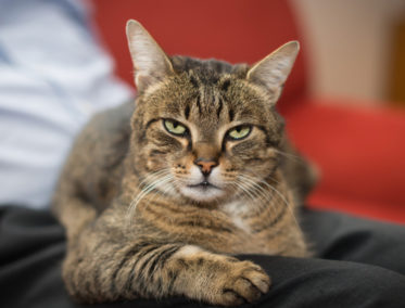 Vietnam es ideal para los viajes con playa!