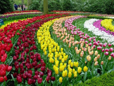 Jardín de las Flores de Da Lat