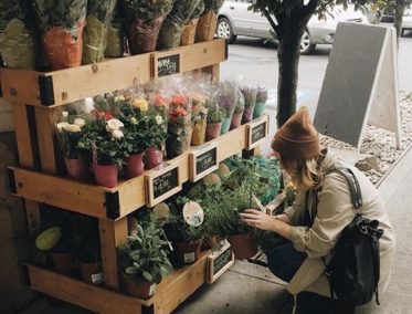 Auténtico circuito Vietnam durante 19 días!!!!