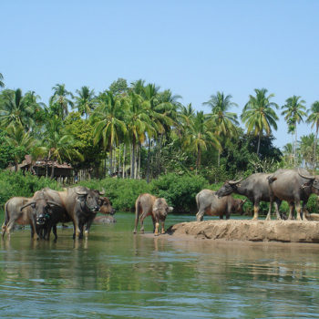 4000 islas – Tour de la isla