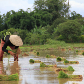 Xieng Khouang - Vientián