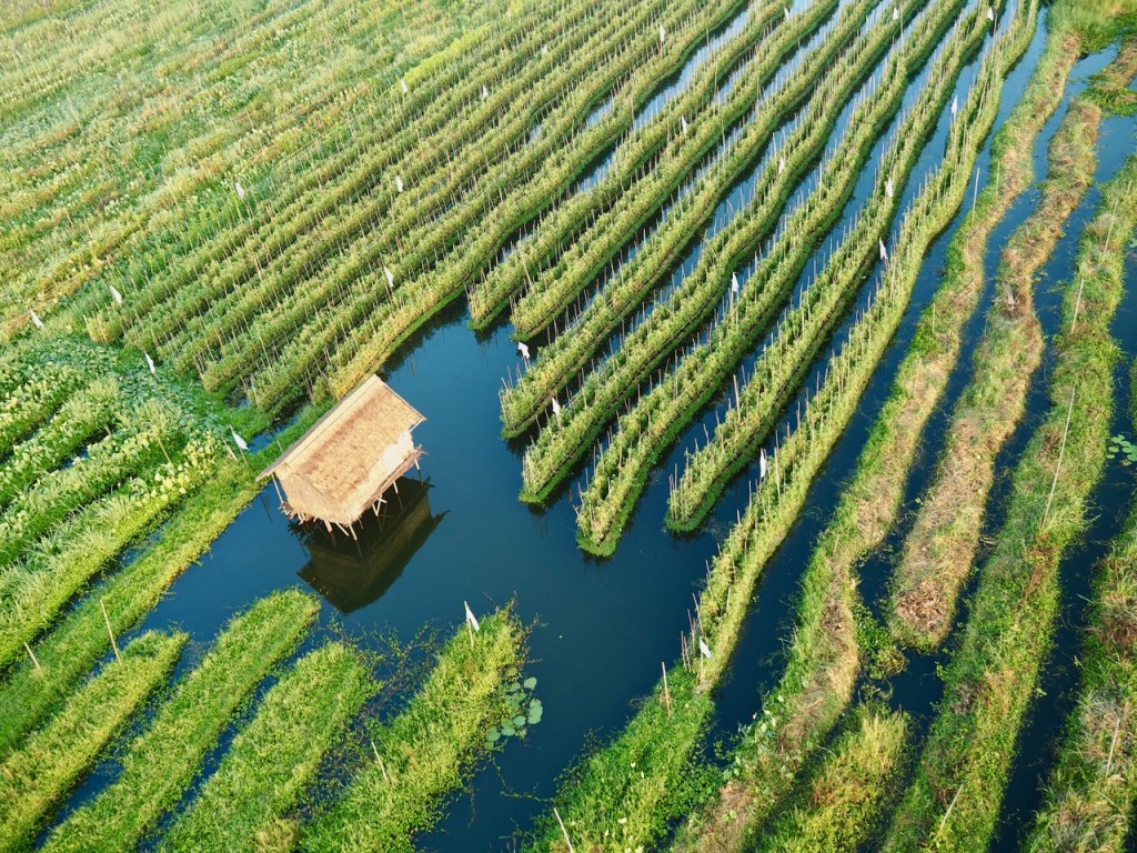 jardin flotante lago inle birmania