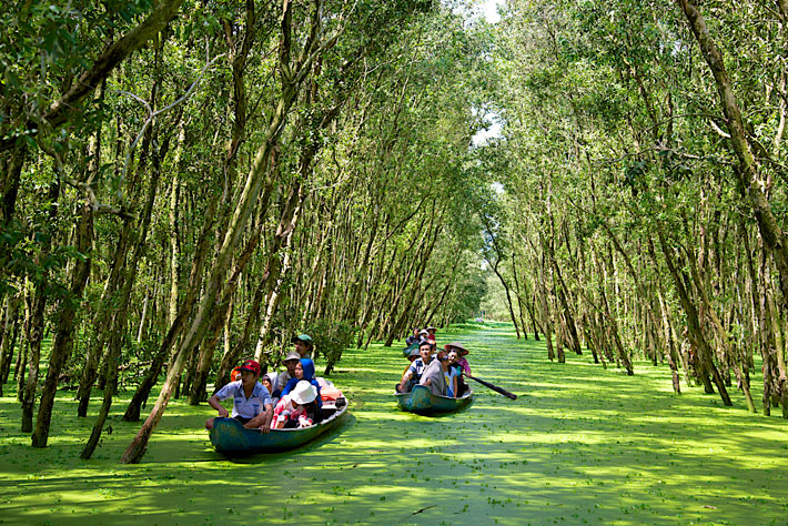 bosque tra su chau doc vietnam