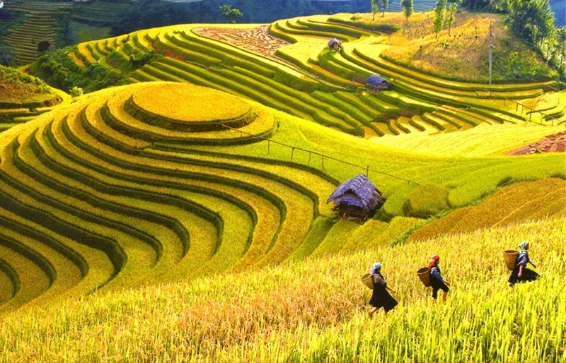 sapa vietnam