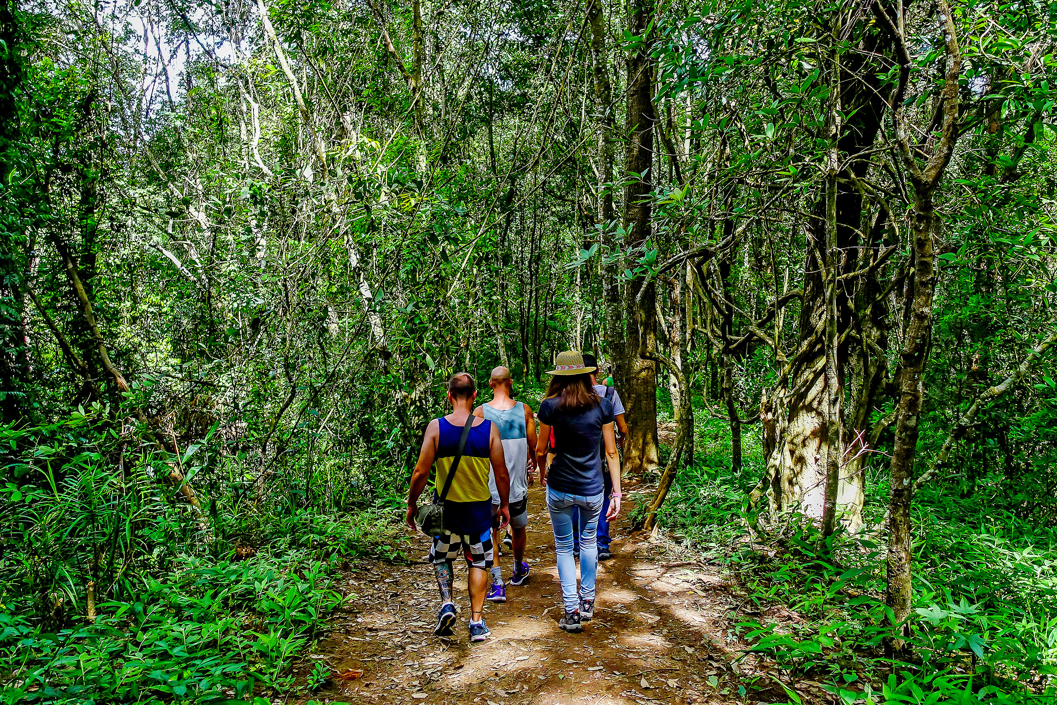 Trekking-en-el-norte-de-Tailandia