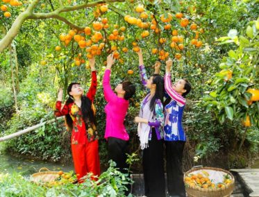 Cao Lanh – Cu Lao Gieng – Sa Dec