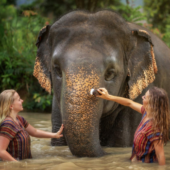 Día libre en Phuket