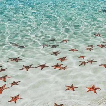 Escapada en Phu Quoc