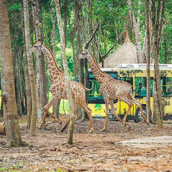 Escapada en Phu Quoc