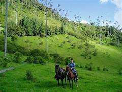 Viaje clásico a Malasia