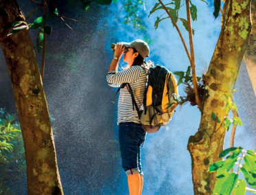 Taman Negara - Malasia