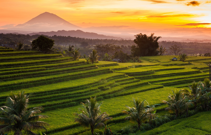 Viaje a Bali