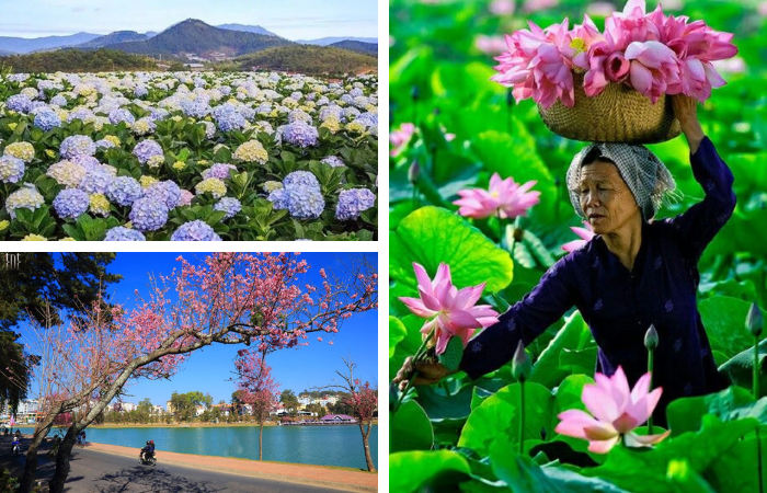 parte ideal de vietnam: Flora y fauna abundantes