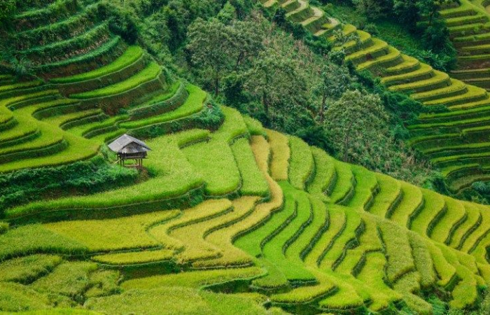 parte ideal de vietnam: sapa