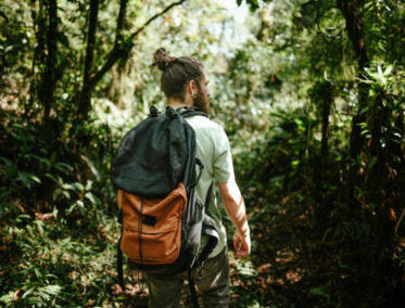 El viaje perfecto para descubrir Japón por primera vez
