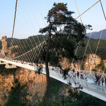 Zhangjiajie - Shanghai